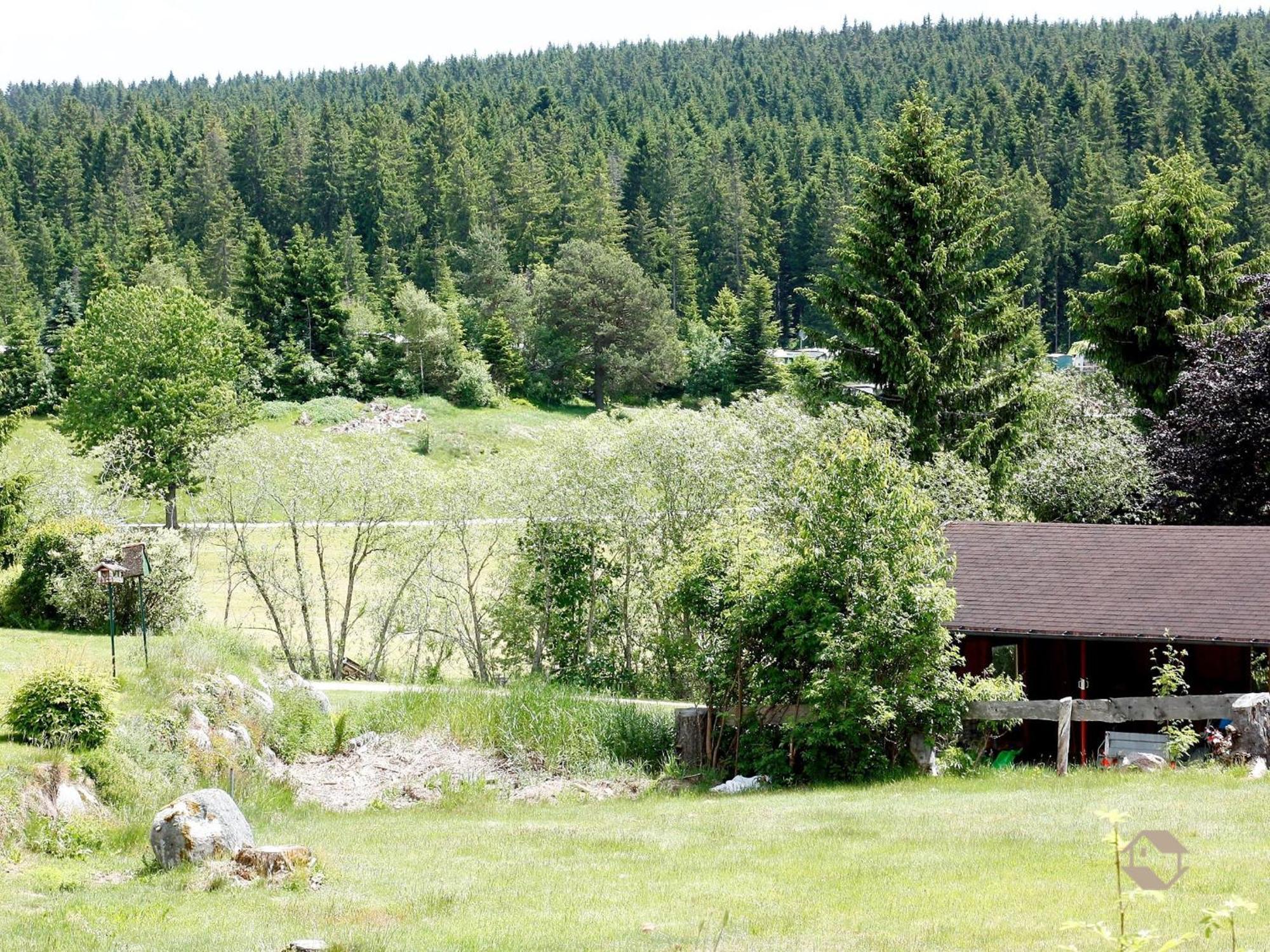 Apartamento Haus Doerflinger Frau Marianne Schluchsee Exterior foto