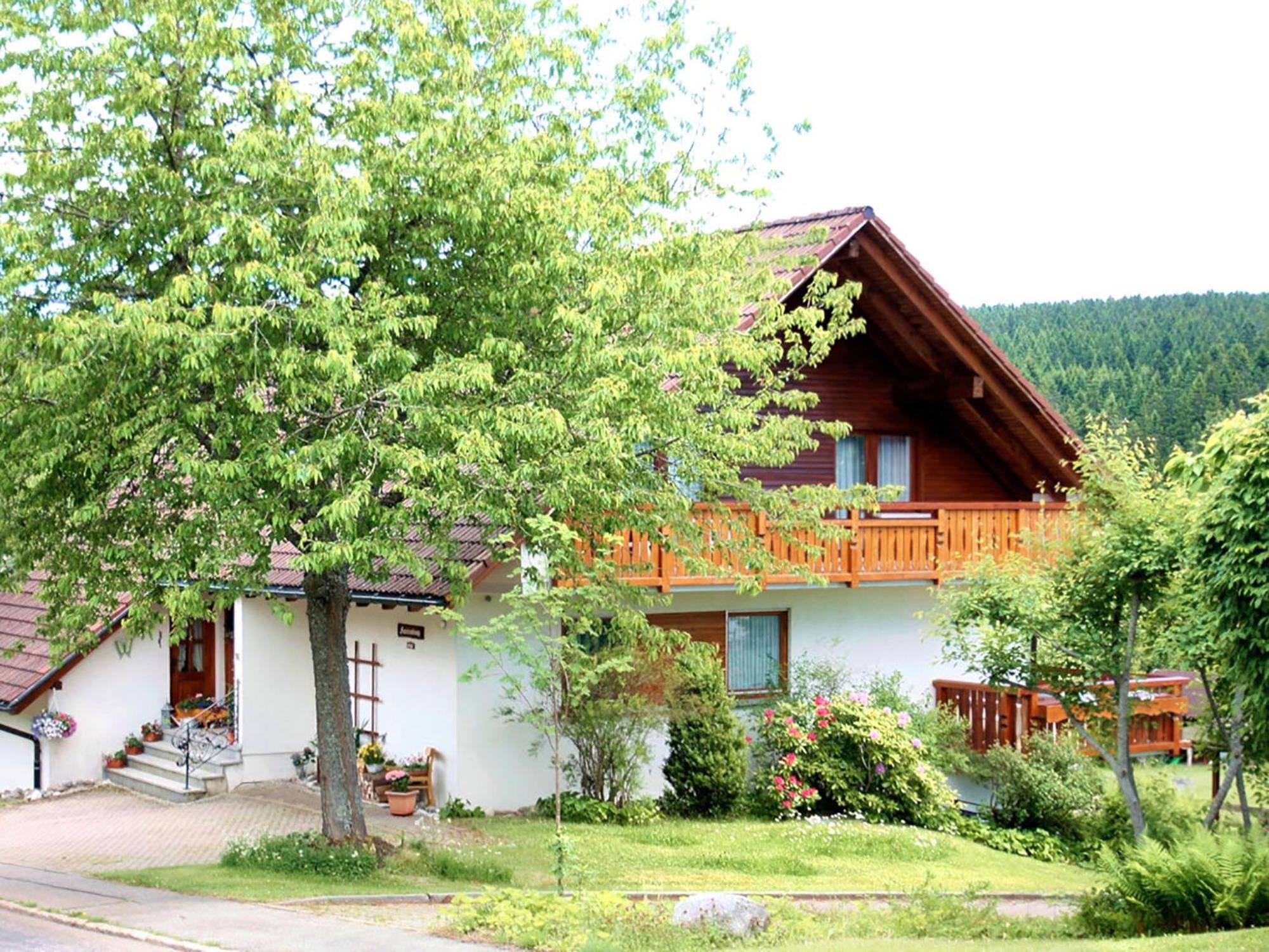 Apartamento Haus Doerflinger Frau Marianne Schluchsee Exterior foto